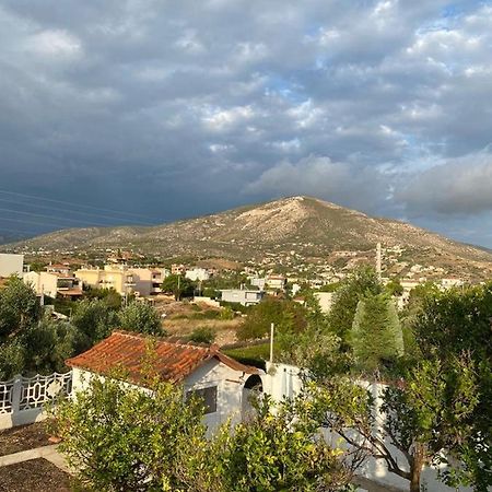 Agapis Residence Kalivia Thorikou Bagian luar foto